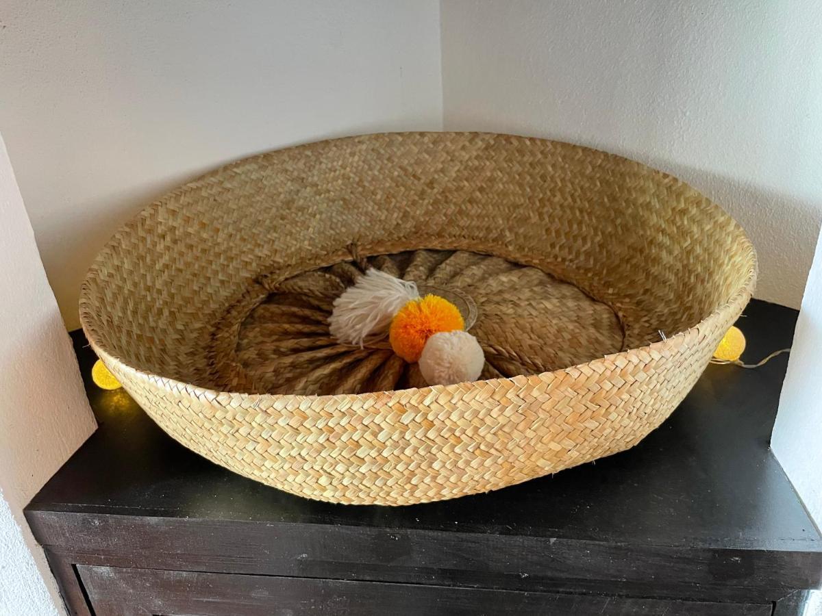 Cozy Beach House Santa Luzia  Ngoại thất bức ảnh